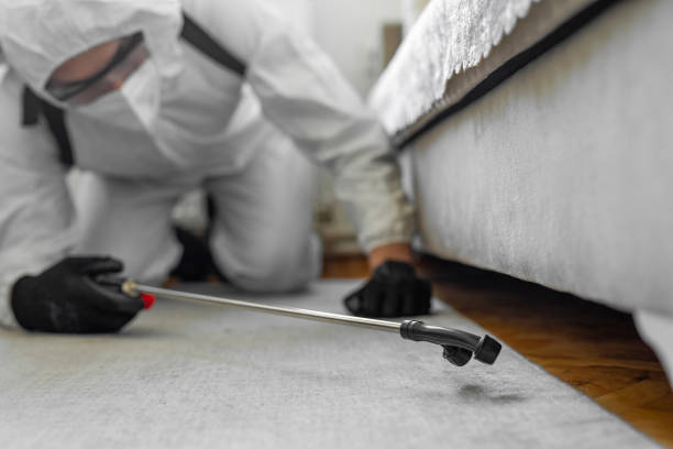Professional Termite Control technician working in Phelps County County, MO